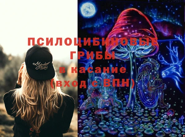 стаф Арсеньев
