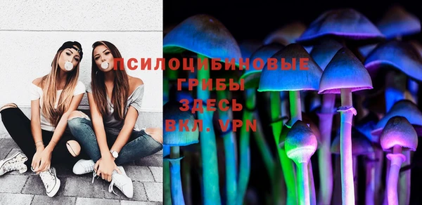 бутират Сатка