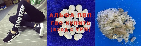 стаф Арсеньев